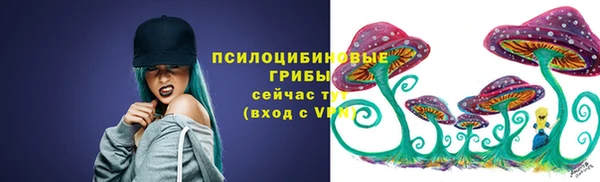 2c-b Новодвинск