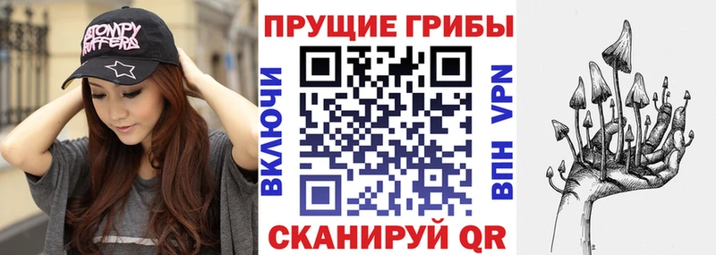 как найти закладки  кракен рабочий сайт  Галлюциногенные грибы мухоморы  Кудрово 