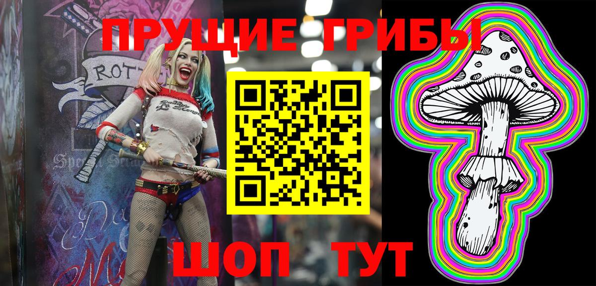 Галлюциногенные грибы ЛСД  Галлюциногенные грибы Psilocybe  Кудрово 